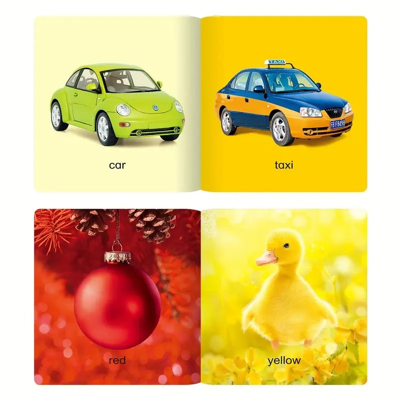 A Gift Box Containing 12 Illustrated Encyclopedias about Identifying Objects, Featuring English Apple Covers.