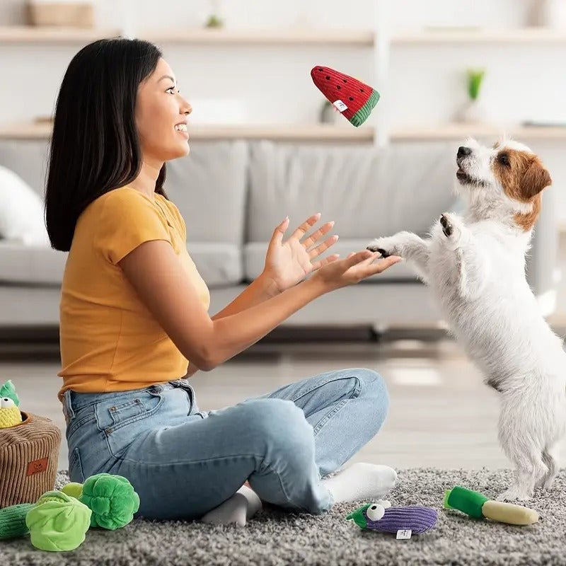 [Durable Plush] Nocciola Grocery Bag Dog Toys | 15 Pack | Durable Plush | Squeaky, For Aggressive Chewers | Small Medium Size Dogs, Puppy