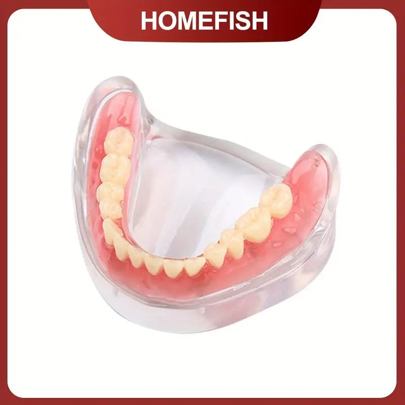 Dental Oral Teaching, Dental Upper/Lower Dentures with 4 Nails, Implant Dental Models, Detachable Doctor-Patient Communication Dental Models