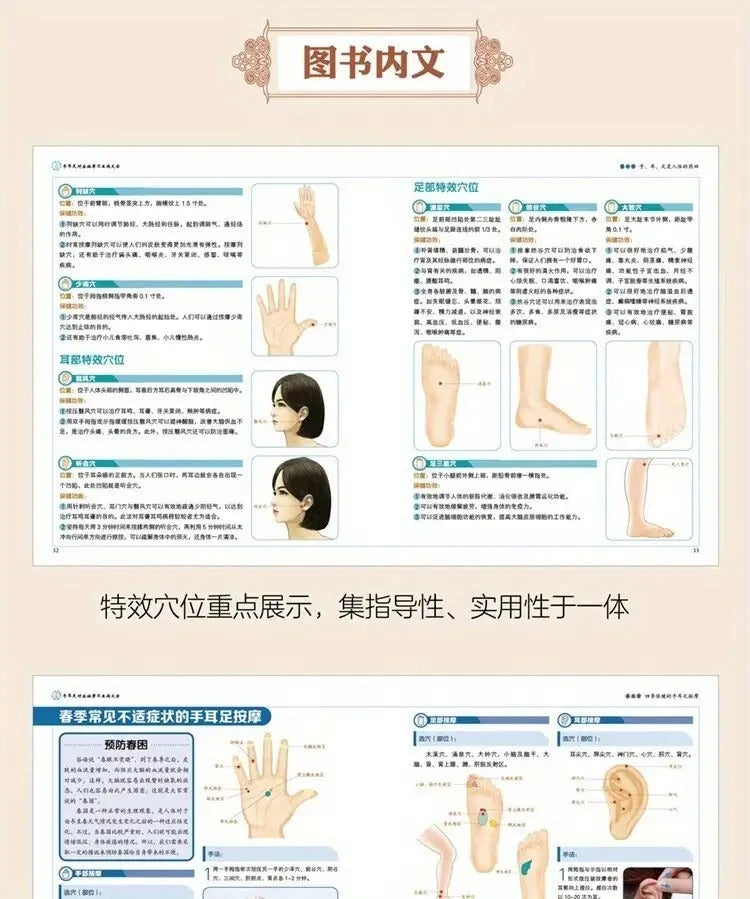 A Comprehensive Manual on Health And Wellness, Featuring Herbal Remedies And an All-Inclusive Guide to Reflexology Massage for Hands, Ears, And Feet Aimed at Illness Prevention. Chinese Version