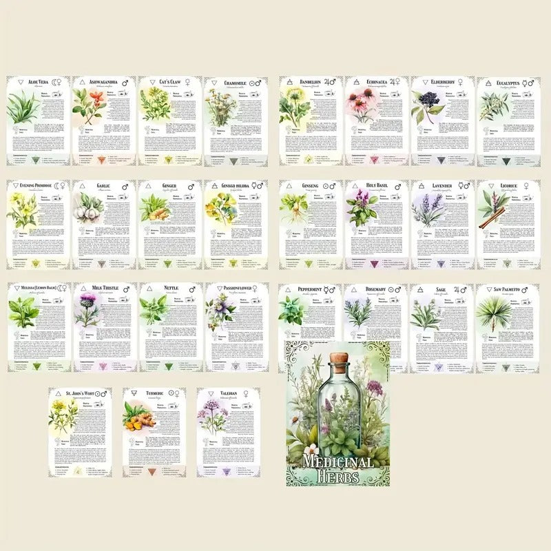 1 Herbal Manual Study Plan Notepad - 35-Page Premium Botanical Medicine Reference Guide with Herbal Profiles, Photos & Plant Screens for Classroom, Office, Travel - Herb Lovers' Essential, Herbal Medicine Guide, Botanical