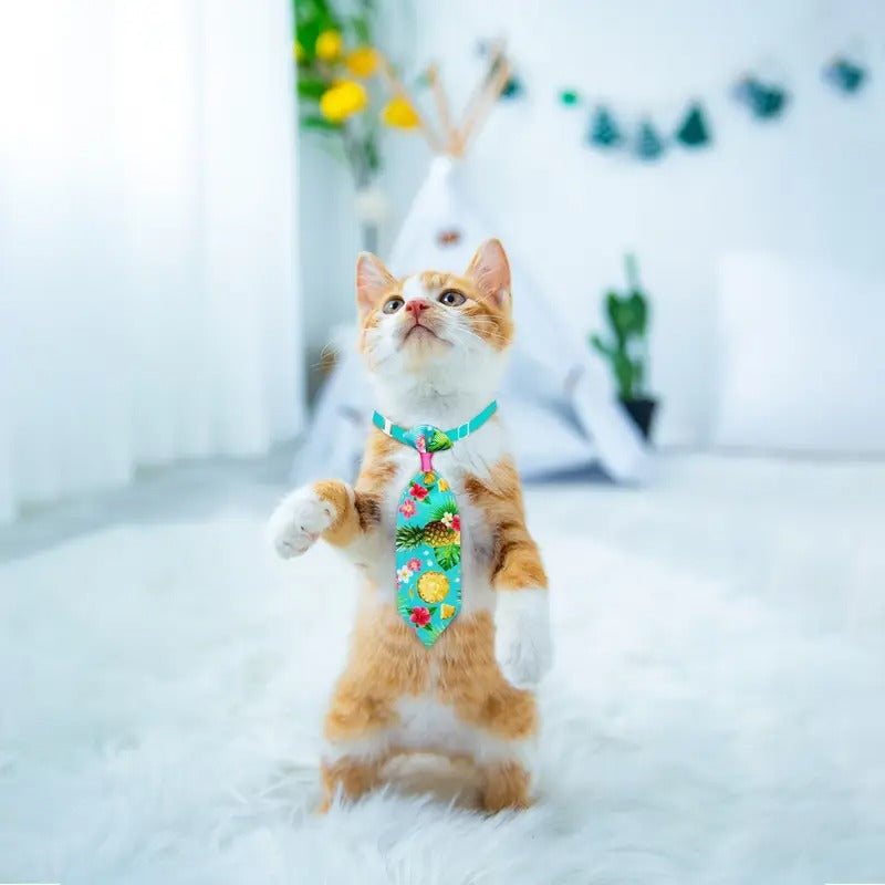 50pcs Multi Style Dog Neckties Adjustable Summer Small Dog Bowties Washable Pet Dog Bow Ties Collars Mixed Colors Pet Grooming Accessories For Dogs Bulk