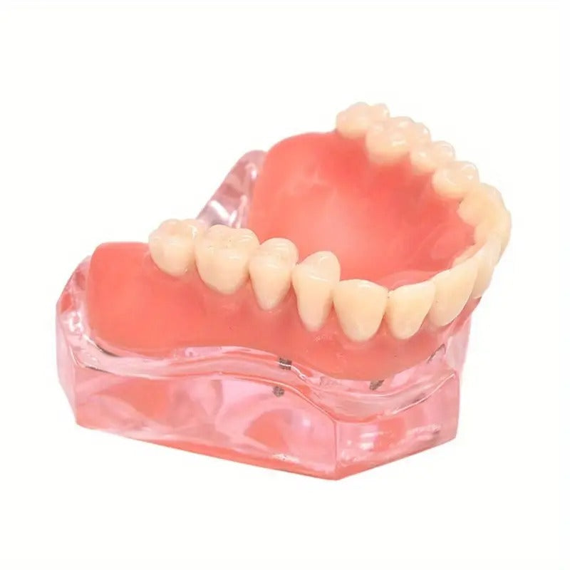 Natural Appearance Adjustable Dentures - Comfortable Upper & Lower Teeth Fit for Easy Installation, Removal & Cleaning - Senior-Specific Smile Makeover with Natural Design for Travel, Parties, Daily Use, Party Dentures,