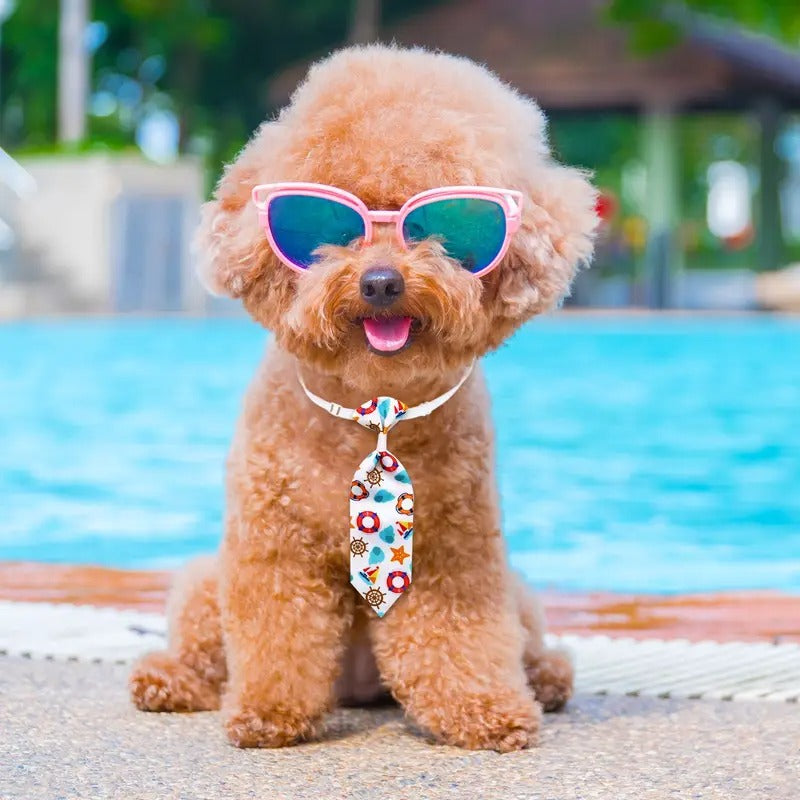 50pcs Multi Style Dog Neckties Adjustable Summer Small Dog Bowties Washable Pet Dog Bow Ties Collars Mixed Colors Pet Grooming Accessories For Dogs Bulk