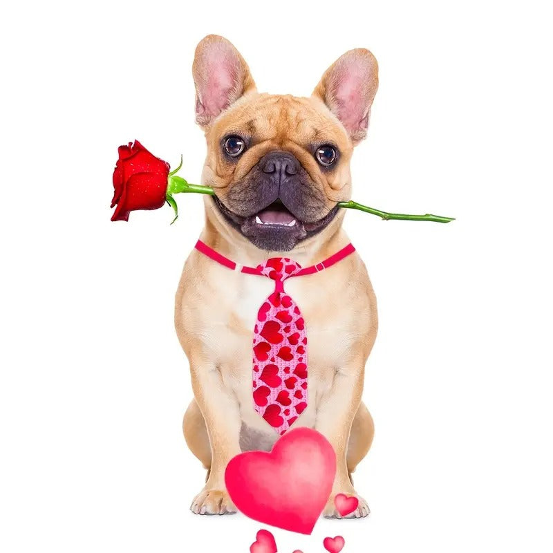 50pcs Multi Style Dog Neckties Adjustable Summer Small Dog Bowties Washable Pet Dog Bow Ties Collars Mixed Colors Pet Grooming Accessories For Dogs Bulk