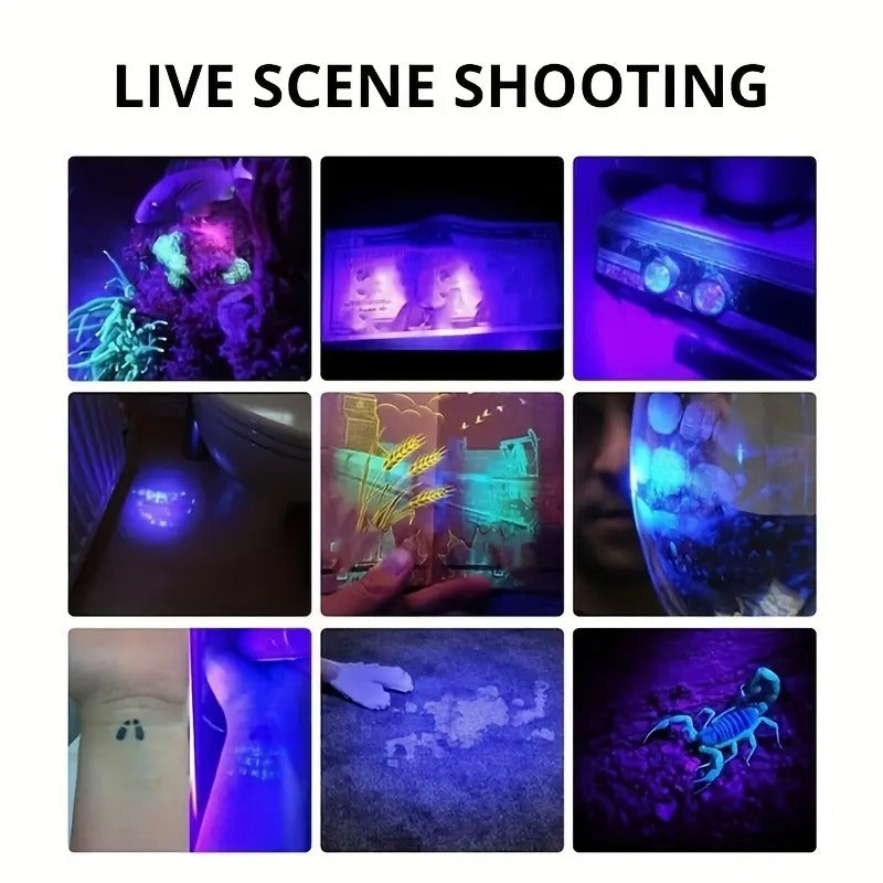 [UV Flashlight] UV 395nm Flashlight, One | USB Rechargeable, Adjustable Focus, 3-Speed Mini | Used for Pet Detection, Home, Outdoor, Camping, Fishing