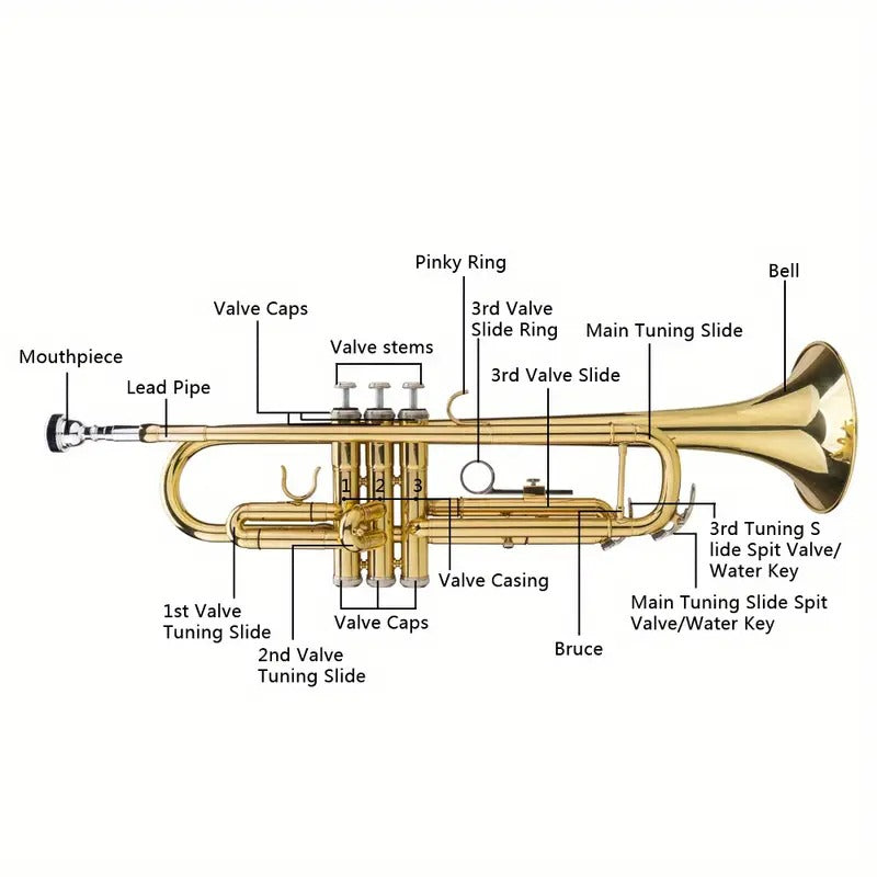 Golden Trumpet] Adjustable Trumpet Gloves Set | Drop B Tone Plaint Golden