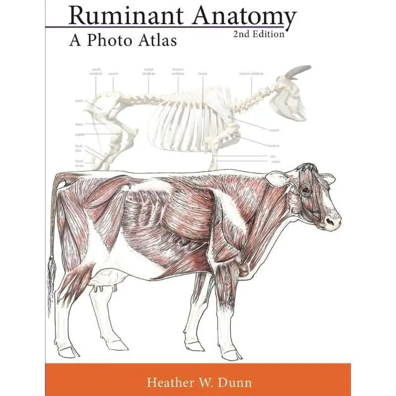 Ruminant Anatomy Paperback/softback supplier:Createspace Independent Publishing Platform